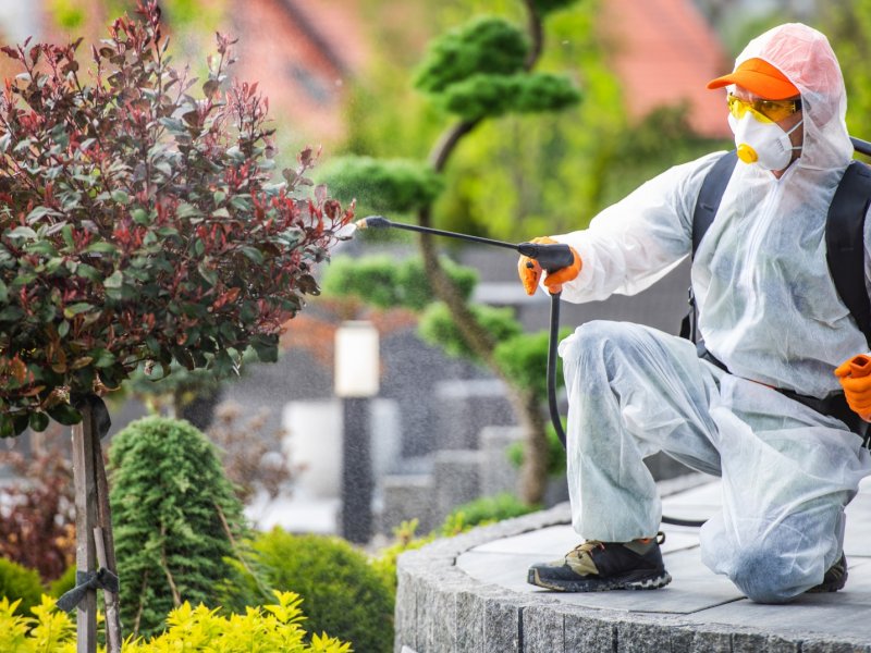 Balatçık Haşere İlaçlama